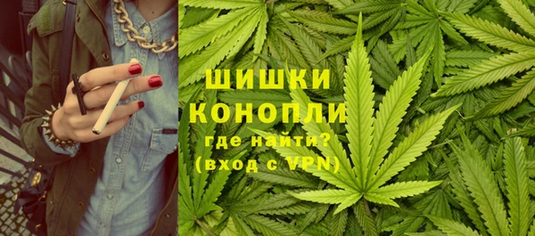 ГАЛЛЮЦИНОГЕННЫЕ ГРИБЫ Баксан